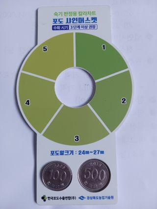 오이13686님의 포도 · 자유게시판 작성글 사진