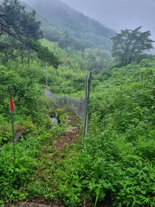 이순기님의 👍팜이웃 칭찬해요! · 참여글 작성글 사진