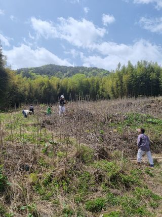 이순기님의 👍팜이웃 칭찬해요! · 참여글 작성글 사진