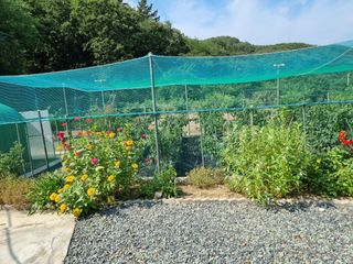 김종태 님의 팜모닝 · 출석 작성글 사진