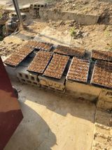 팜모닝 농사, 무엇이든 물어보세요!·참여글 게시글 이미지