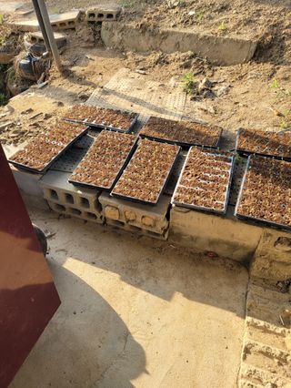 장재석님의 농사, 무엇이든 물어보세요! · 참여글 작성글 사진