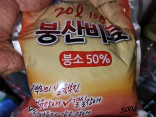 텃밭입문님의 농사, 무엇이든 물어보세요! · 참여글 작성글 사진
