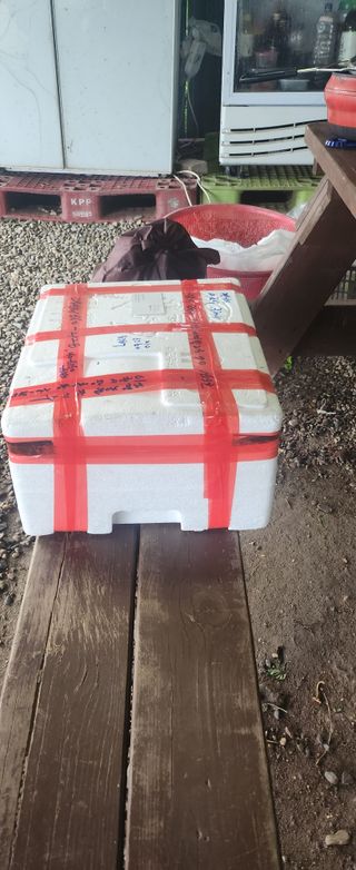 장기수님의 👍팜이웃 칭찬해요! · 참여글 작성글 사진