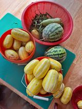 팜모닝 자유주제·자유게시판 게시글 이미지