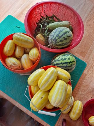 독골농원님의 자유주제 · 자유게시판 작성글 사진