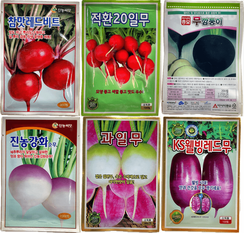 장터 상품 [[무씨앗]과일무, 검정무, 강화순무, 레드무씨앗모음] 썸네일