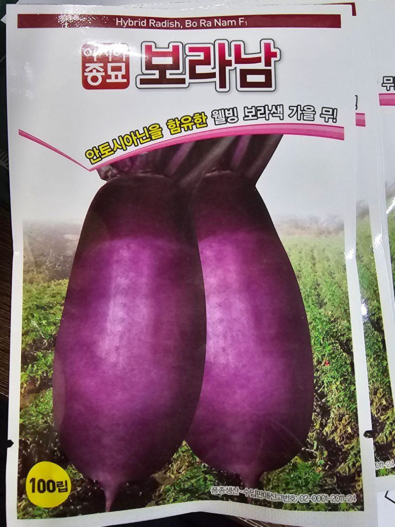 한농농약종묘사님의 장터 판매 상품 [[무씨앗]과일무, 검정무, 강화순무, 레드무씨앗모음] 첨부 사진