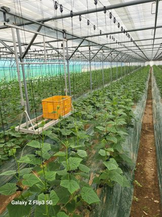 철종님의 👍팜이웃 칭찬해요! · 참여글 작성글 사진