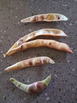 팜모닝 자유주제·자유게시판 게시글 이미지