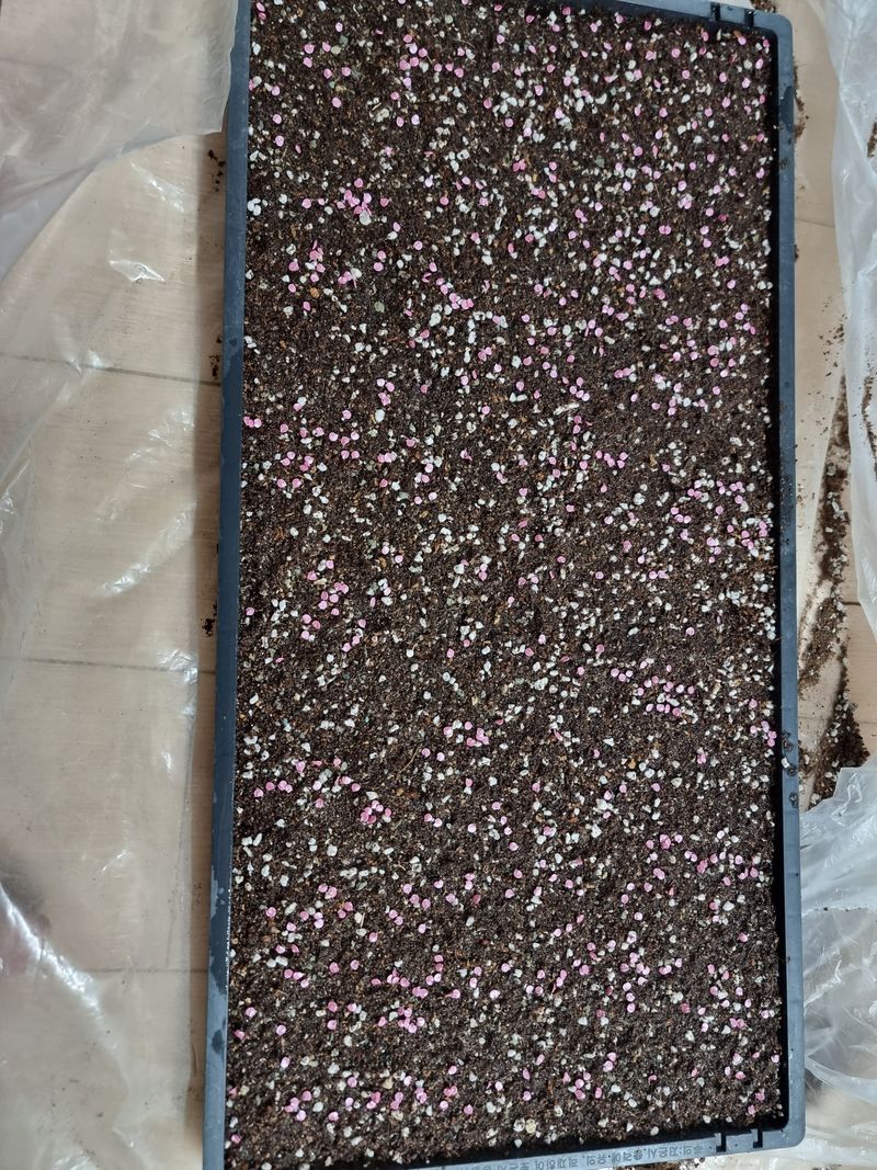 호랑이와인성이님의 장터 판매 상품 [ 고추가루 ] 첨부 사진