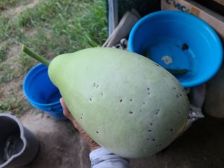 노고단님의 자유주제 · 자유게시판 작성글 사진