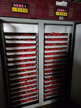 팜모닝 고추·영농일지 게시글 이미지