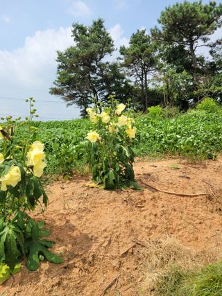 이원우님의 자유주제 · 자유게시판 작성글 사진