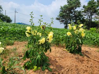 이원우님의 자유주제 · 자유게시판 작성글 사진