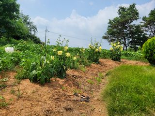 이원우님의 자유주제 · 자유게시판 작성글 사진
