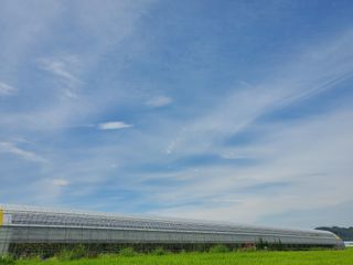 시골아주메님의 고추 · 일상 작성글 사진