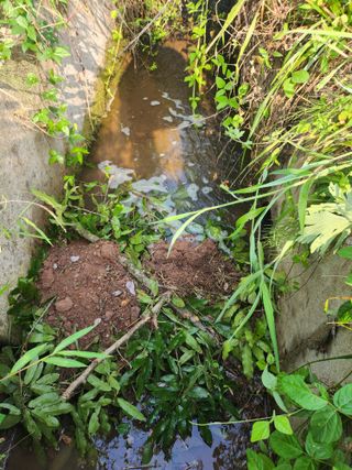 백화산지킴이산야초님의 벼 · 영농일지 작성글 사진