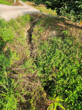 백화산지킴이산야초님의 벼 · 영농일지 작성글 사진