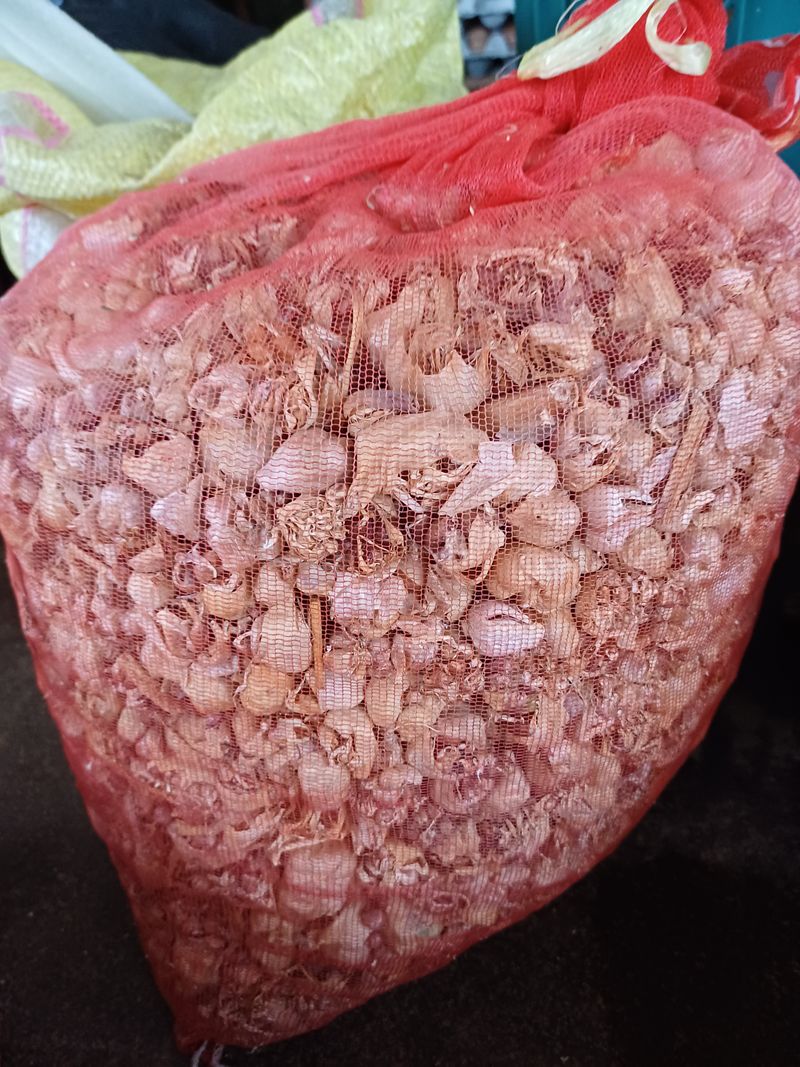 전원수님의 장터 판매 상품 [주아(마늘쫑)판매(의성종)] 첨부 사진