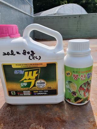 남기탁 님의 고추 · 영농일지 작성글 사진