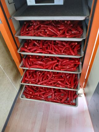 백영호님의 고추 · 영농일지 작성글 사진