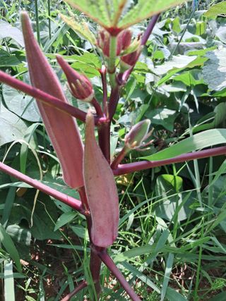 장은주님의 자유주제 · 자유게시판 작성글 사진