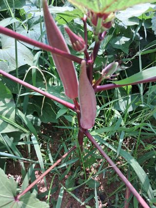 장은주님의 자유주제 · 자유게시판 작성글 사진