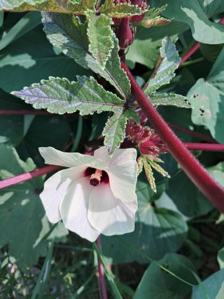 장은주님의 자유주제 · 자유게시판 작성글 사진