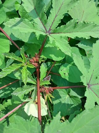 장은주님의 자유주제 · 자유게시판 작성글 사진