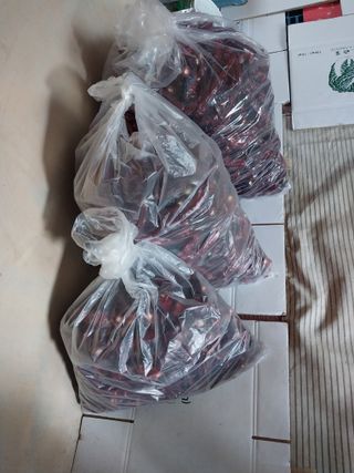 오영균 님의 고추 · 영농일지 작성글 사진