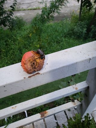 김재덕님의 자유주제 · 사진전 작성글 사진