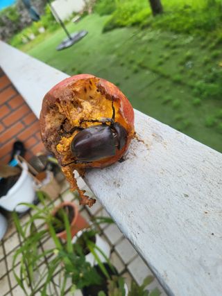 김재덕님의 자유주제 · 사진전 작성글 사진