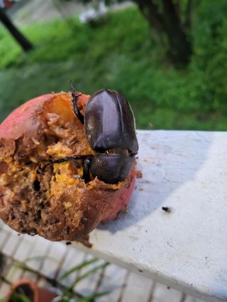 김재덕님의 자유주제 · 사진전 작성글 사진