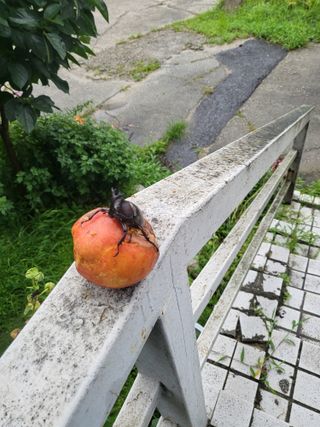 김재덕님의 자유주제 · 사진전 작성글 사진