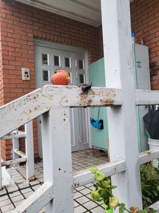 김재덕님의 자유주제 · 사진전 작성글 사진