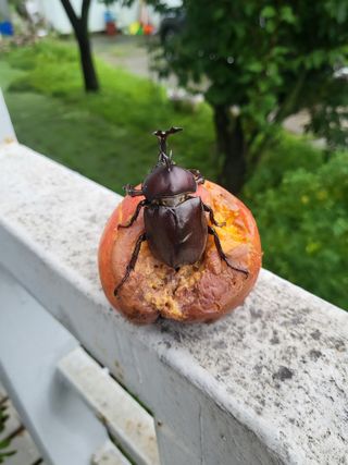 김재덕님의 자유주제 · 사진전 작성글 사진