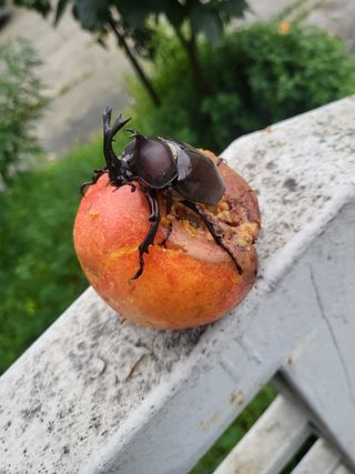 김재덕님의 자유주제 · 사진전 작성글 사진