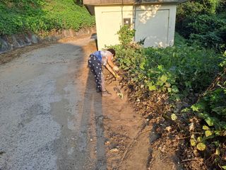 (힐링따오기쉼터)님의 기타작물 · 영농일지 작성글 사진