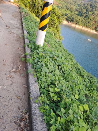 (힐링따오기쉼터)님의 기타작물 · 영농일지 작성글 사진