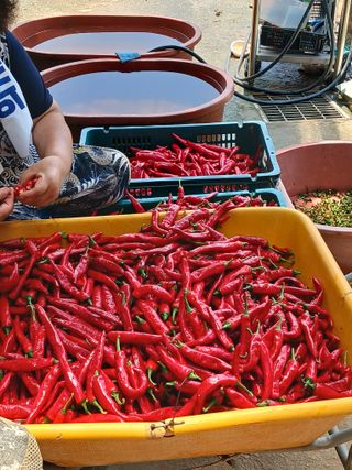 신현국 님의 자유주제 · 자유게시판 작성글 사진