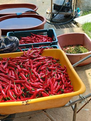 신현국 님의 자유주제 · 자유게시판 작성글 사진