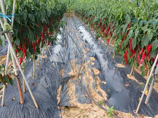 신현국 님의 자유주제 · 자유게시판 작성글 사진