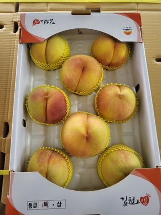 두릅나무9110님의 자유주제 · 사진전 작성글 사진