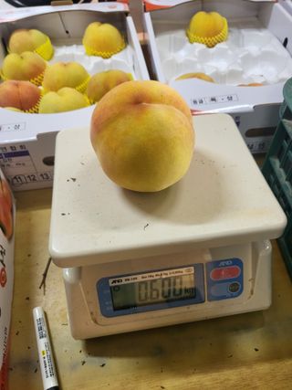 두릅나무9110님의 자유주제 · 사진전 작성글 사진