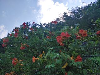 이현상님의 자유주제 · 자유게시판 작성글 사진