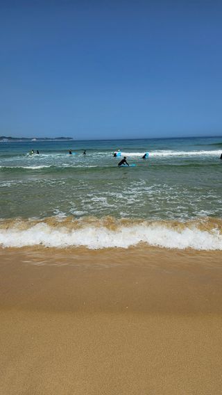 장철식님의 자유주제 · 자유게시판 작성글 사진