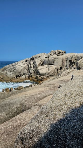 장철식님의 자유주제 · 자유게시판 작성글 사진