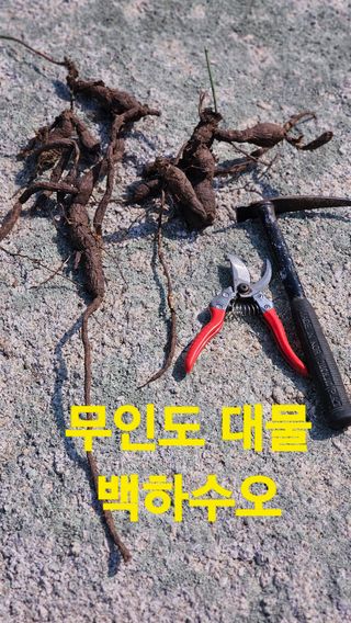 장철식님의 자유주제 · 자유게시판 작성글 사진