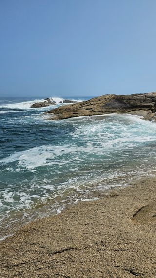 장철식님의 자유주제 · 자유게시판 작성글 사진